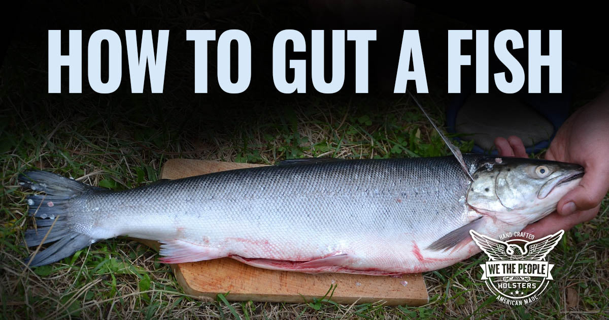 How to Clean a Fish | Learn to Gut a Fish | Cleaning and Filleting